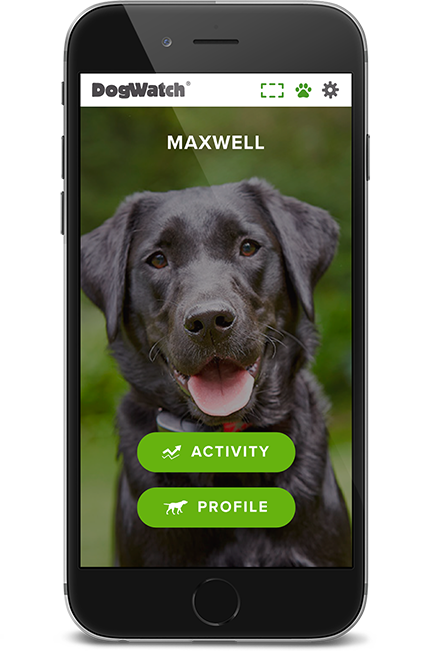 DogWatch by Top Dog Pet Fence, Cohoes, New York | SmartFence WebApp Image